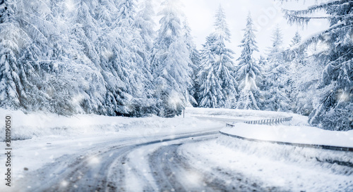 Winter beautiful snowy road snow or landscape forest and trees covered with snow in background. © Milan