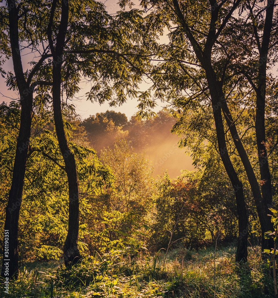 Sunrise on river Sunrise on river
