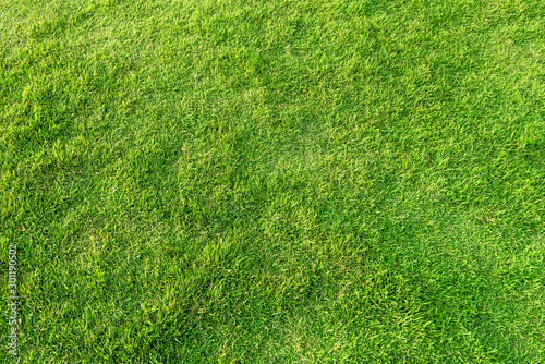 Artificial green grass background. Green grass floor texture ideal for use top view sport.