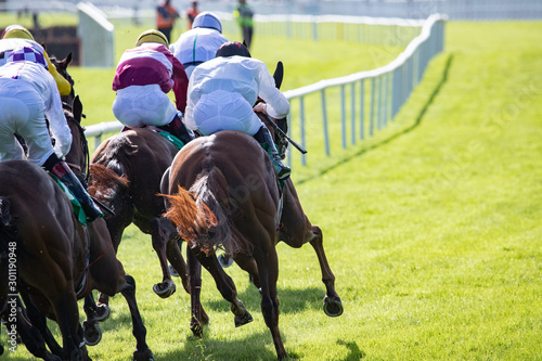 Horse racing action, view from behind of race horses and jockeys spinting towards the finish line