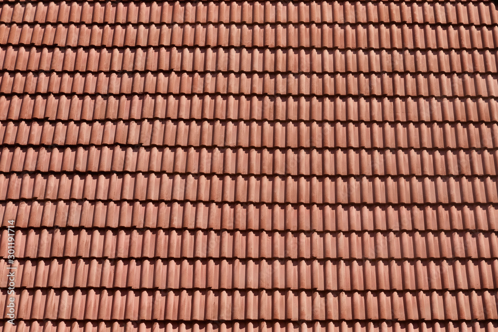 Detail of beautiful roof tiles.