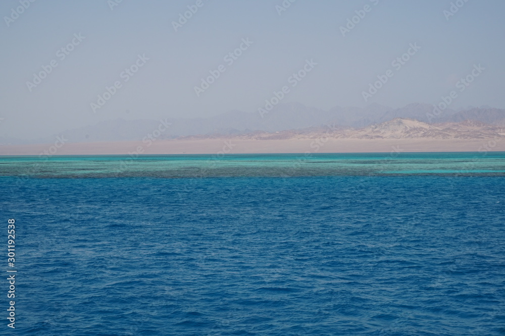 Coral reef in the red sea on sunny day