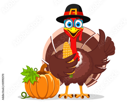 Turkey in a hat holds a swing of corn and shows a like on a white background. Thanksgiving