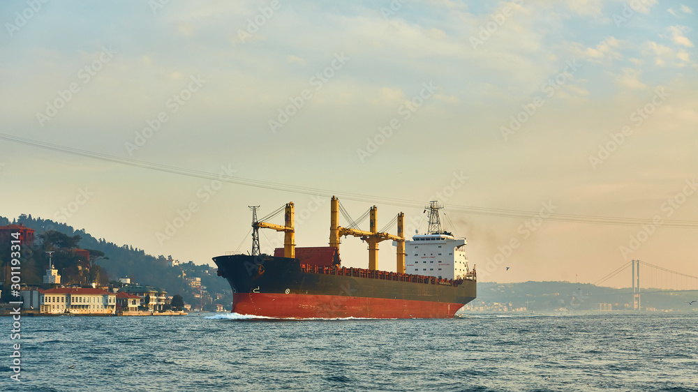 Fototapeta premium A cargo ship in the Bosphorus, Istanbul, Turkey.