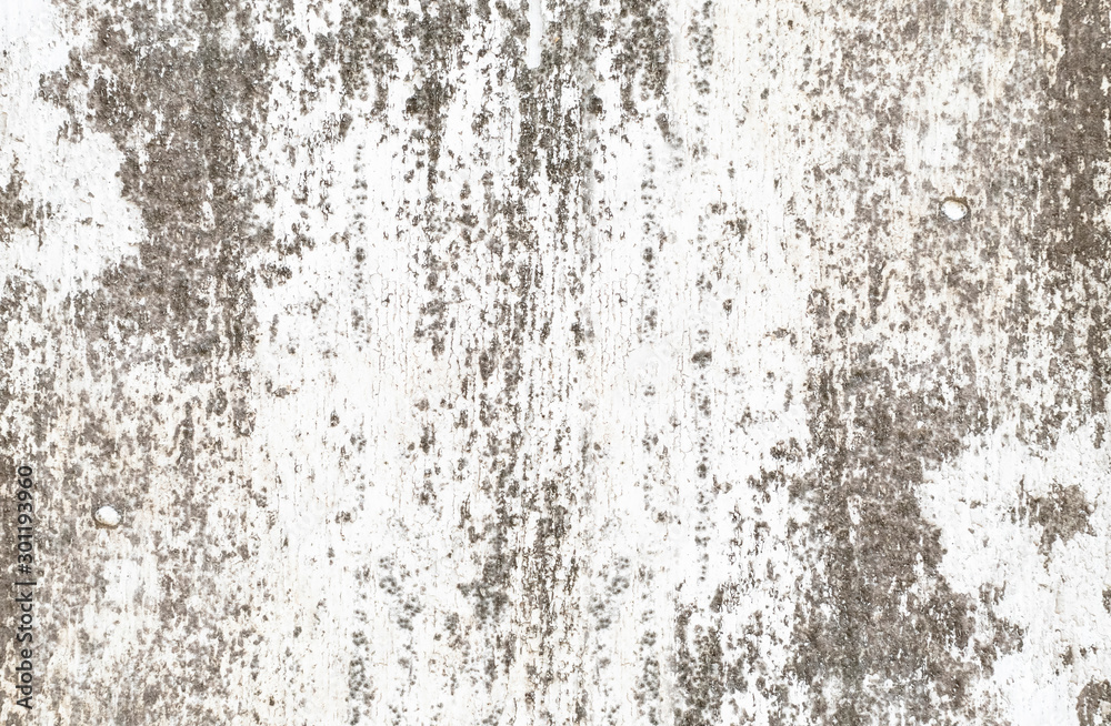 Obraz premium Vintage, Crack and Grunge background. Abstract dramatic texture of old surface. Dirty pattern and texture covered with cement surface.