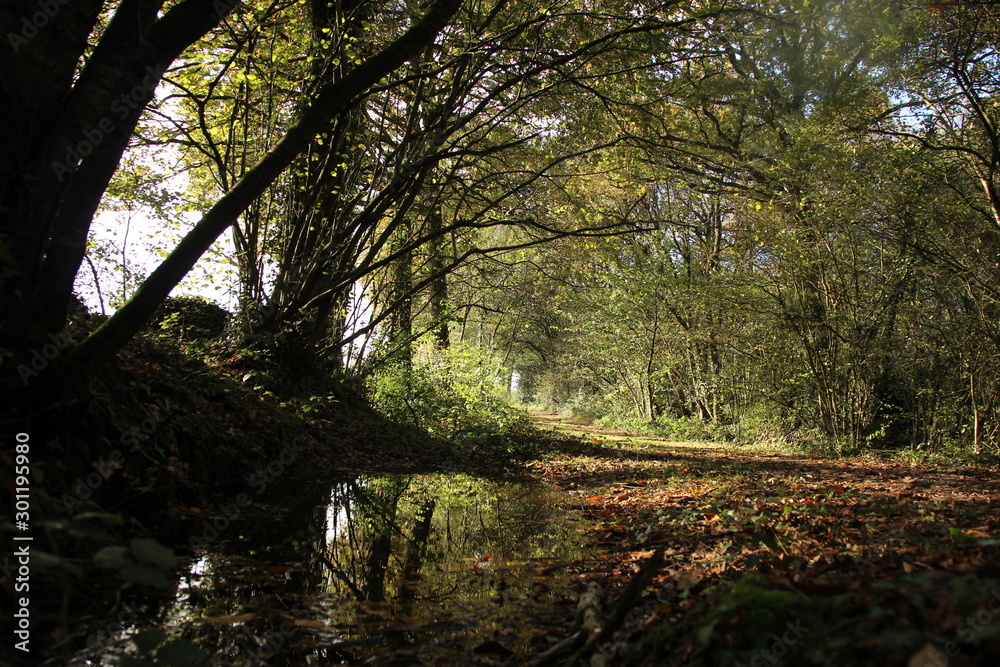automne 2 automne 2