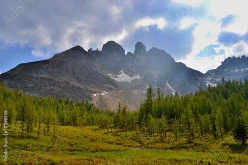 Mount Assiniboine Provincial park, Canada. Beautiful high mountains with snow, lush green forest, green grass, white clouds. Path across the plains though Wonder Pass. © Anna