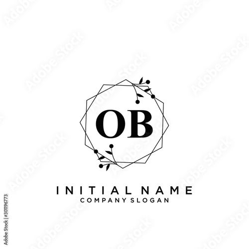 Photos Letter OB Beauty Logo Template Vector