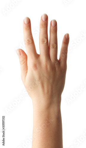 Woman Hands gestures on over white background. Isolated. © lotus_studio