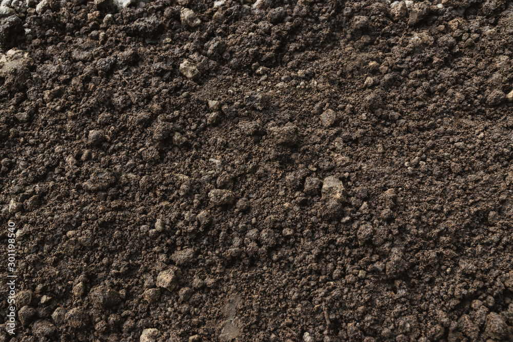 Closeup abundance soil for agriculture or planting peach. - obrazy, fototapety, plakaty 
