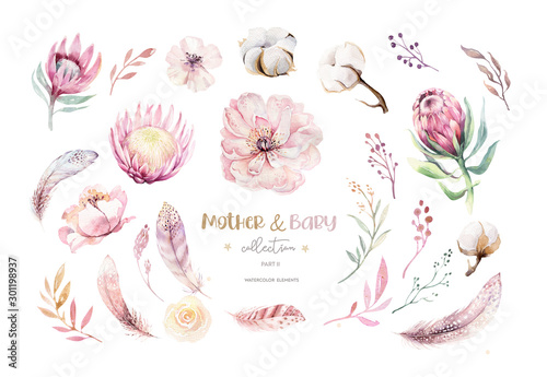 Watercolor boho floral set wirh cotton ball, protea flower. Bohemian natural wreath frame: leaves, feathers, flowers, Isolated on white background. Boho decoration illustration. Save the date