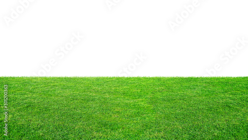 Green grass meadow field from outdoor park isolated in white background with clipping path. Outdoor countryside meadow nature. Landscape of grass field in public park.
