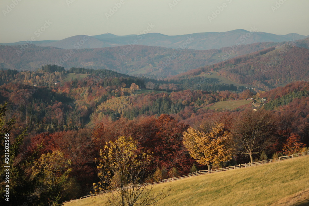 Obraz premium autumn nature