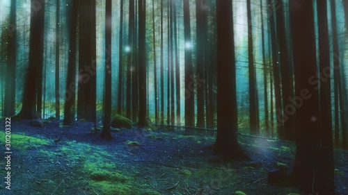 Enchanted forest with fairy lights
