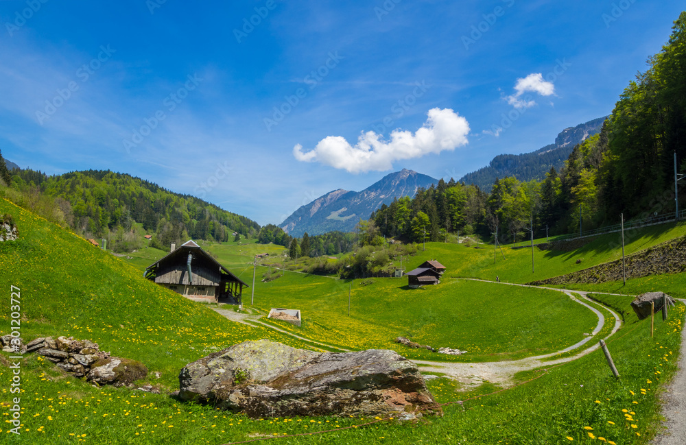 schweiter berglandschaft mit alm im sommer