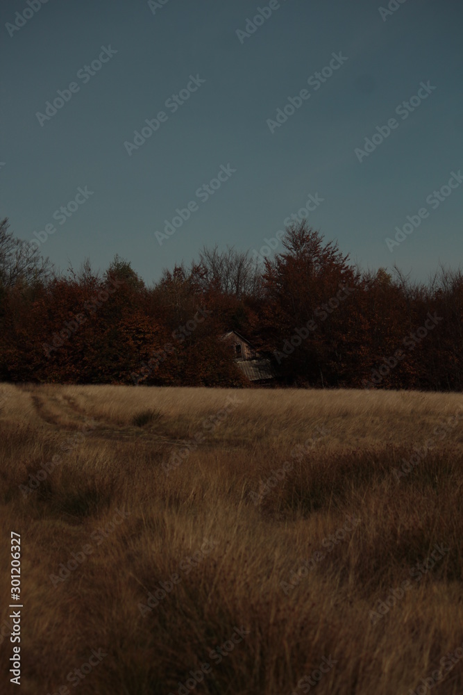 Obraz premium autumn house