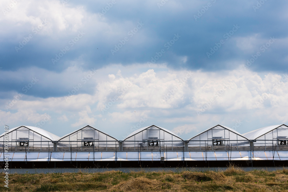 Abstract image of greenhouses near Niagara on the Lake, Ontario, Canada.