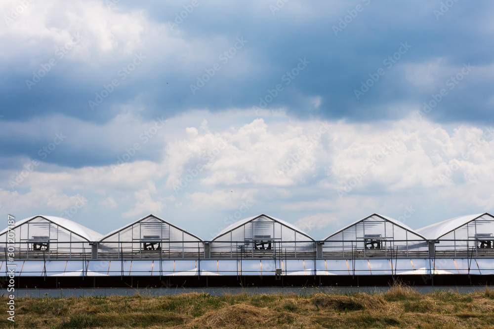Abstract image of greenhouses near Niagara on the Lake, Ontario, Canada. Abstract image of greenhouses near Niagara on the Lake, Ontario, Canada.