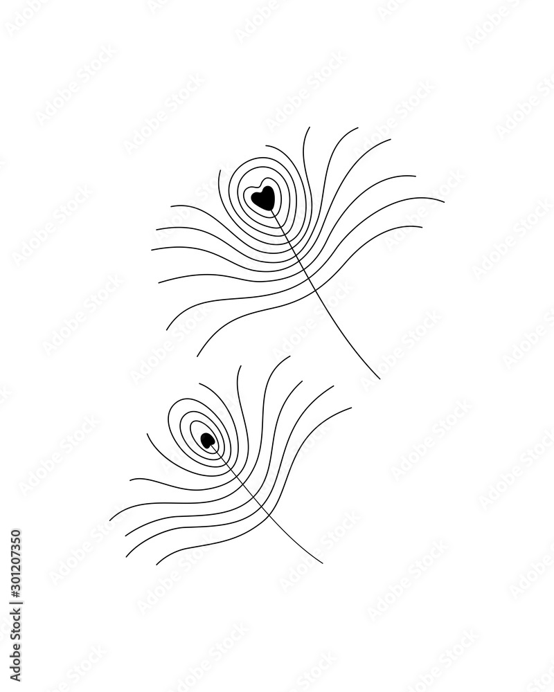Simple black line drawing of a peacock feather, vector illustration Simple black line drawing of a peacock feather, vector illustration
