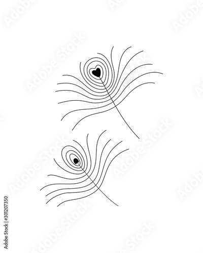 Simple black line drawing of a peacock feather, vector illustration