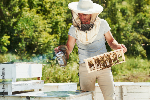 Green trees behind. Beekeeper works with honeycomb full of bees outdoors at sunny day