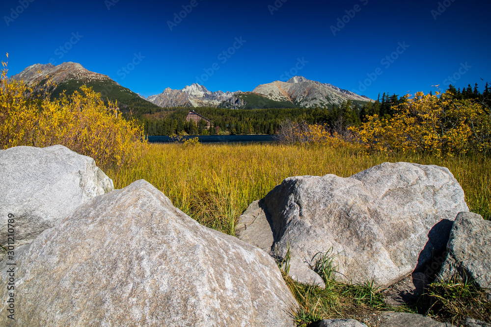 Strba tarn, lake in wonderful nature of Hihg Tatra Mountains in Slovakia