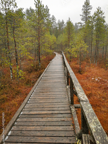 finland national park