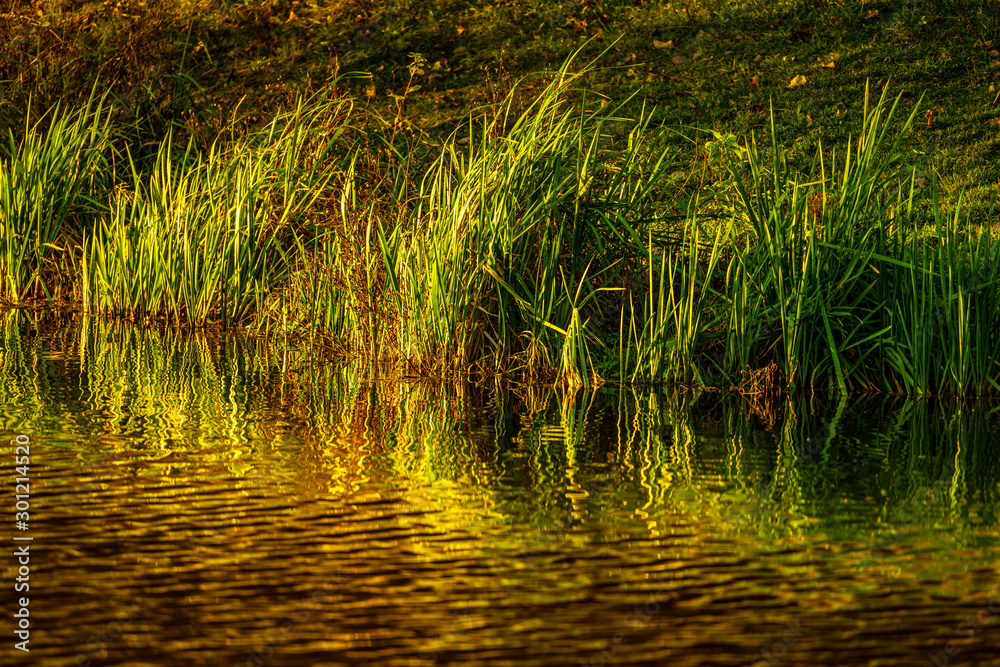 Autumn reflection in a river Autumn reflection in a river
