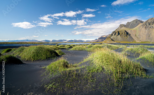 beach grass on black sand dunes near Vestrahorn mountain with vatnajokull glacier in background, southern Iceland, landscape photography