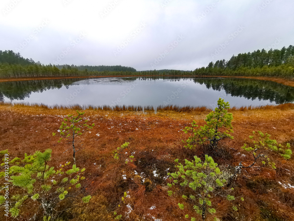 finland national park