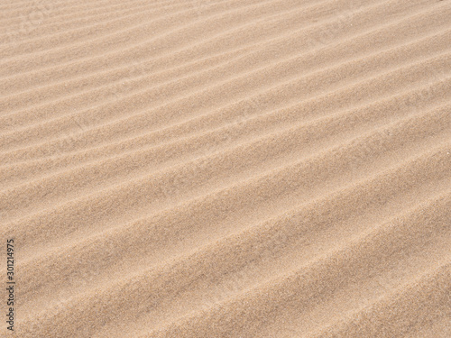 Texture of sand in the desert