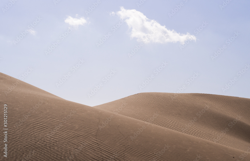 Beautiful desert landscape. Sand dunes in Maspalomas desert