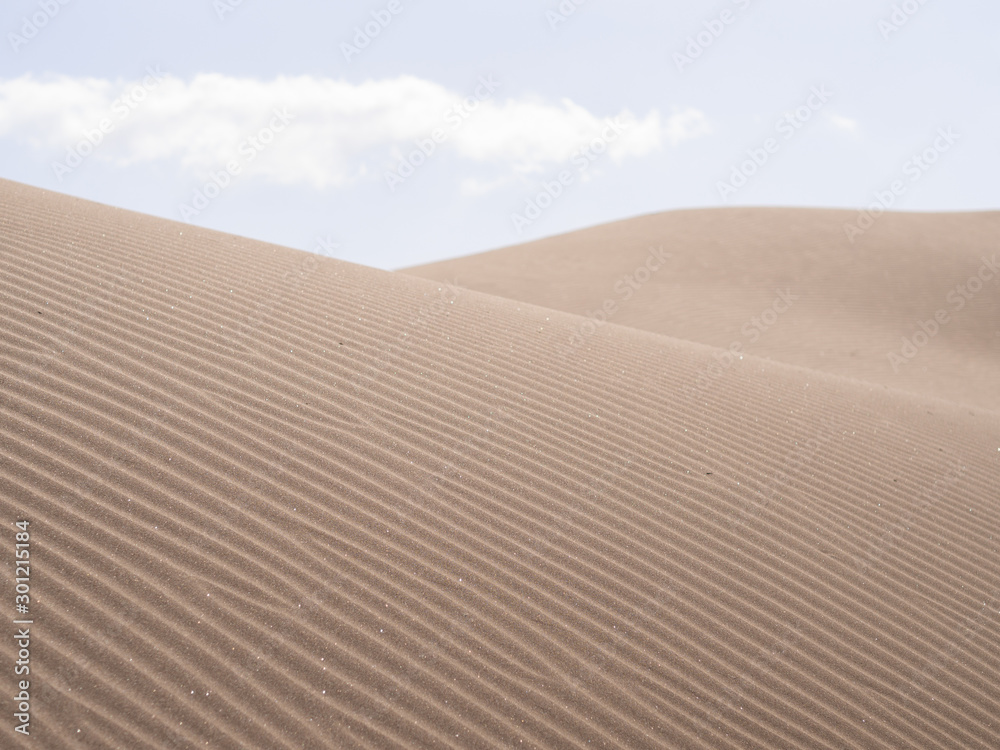 Naklejka premium Beautiful virgin sand dunes in desert in summer, Maspalomas Spain
