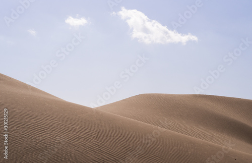 Beautiful desert landscape. Sand dunes in Maspalomas desert © Naglagla