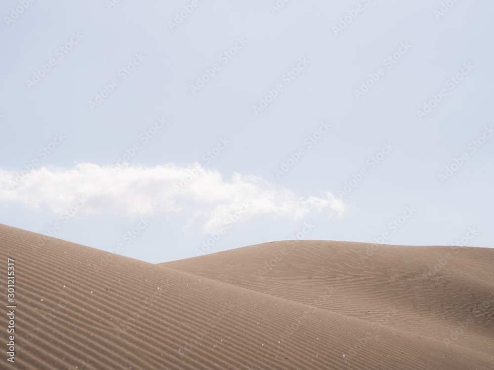 Beautiful desert landscape. Sand dunes in the desert and bright blue sky