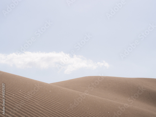 Beautiful desert landscape. Sand dunes in the desert and bright blue sky © Naglagla