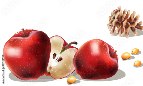 Apple slices, yellow berries and conifer cone. Late autumn or winter composit...