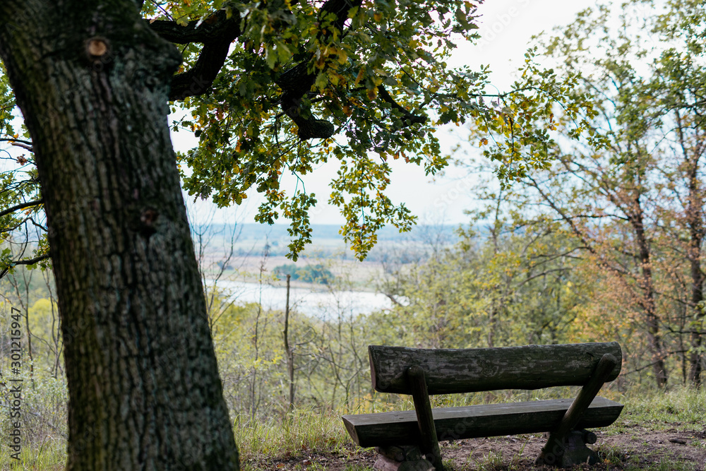Naklejka premium Blank wooden banch in the park in autumn time