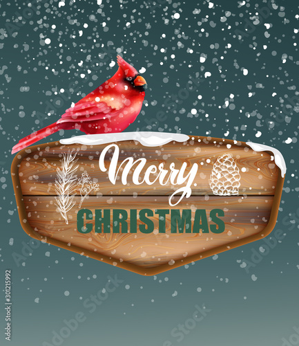 Merry Christmas written on wooden piece. Red tropical bird sitting on sign. S...