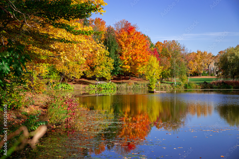 Autumn Trees reflected on peaceful lake 
