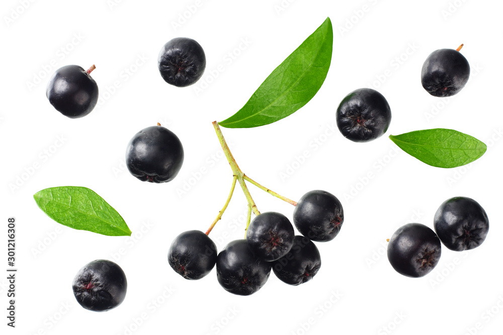 Chokeberry with green leaves isolated on white background. Black aronia. Top view. Chokeberry with green leaves isolated on white background. Black aronia. Top view.