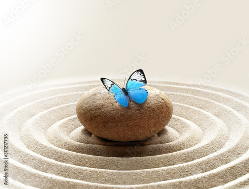 zen garden meditation stone background and butterfly with stones and lines in sand for relaxation balance and harmony spirituality or spa wellness