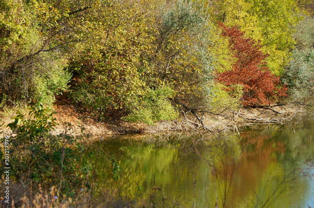 autumn in the park autumn in the park