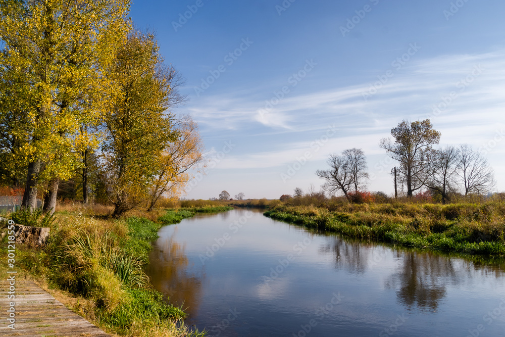 Fototapeta premium Jesień w Dolinie Górnej Narwi - Podlasie - Polska