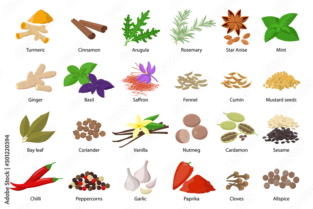 Large set of spices vector illustrations in flat design isolated on white background. Spices and herbs icons collection. - obrazy, fototapety, plakaty 