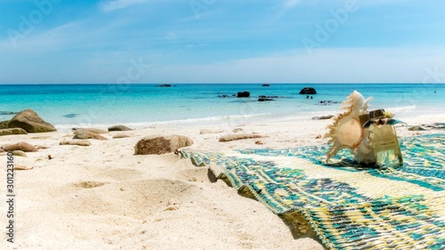 allonge sur la plage