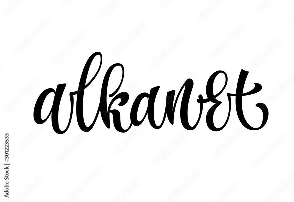Alkanet - vector hand drawn calligraphy style lettering word. Isolated script spice text label.
