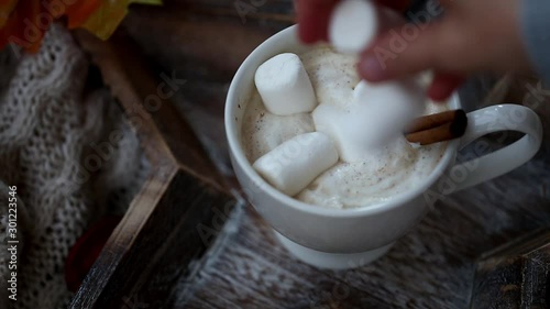 Hot chocolate cup with marshmallows and cinnamon spice