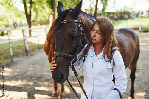 Female vet examining horse outdoors at the farm at daytime
