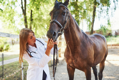 Checking mouth. Female vet examining horse outdoors at the farm at daytime